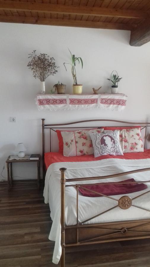 Rigófütty Vendégház Tiszaalpar Exterior foto